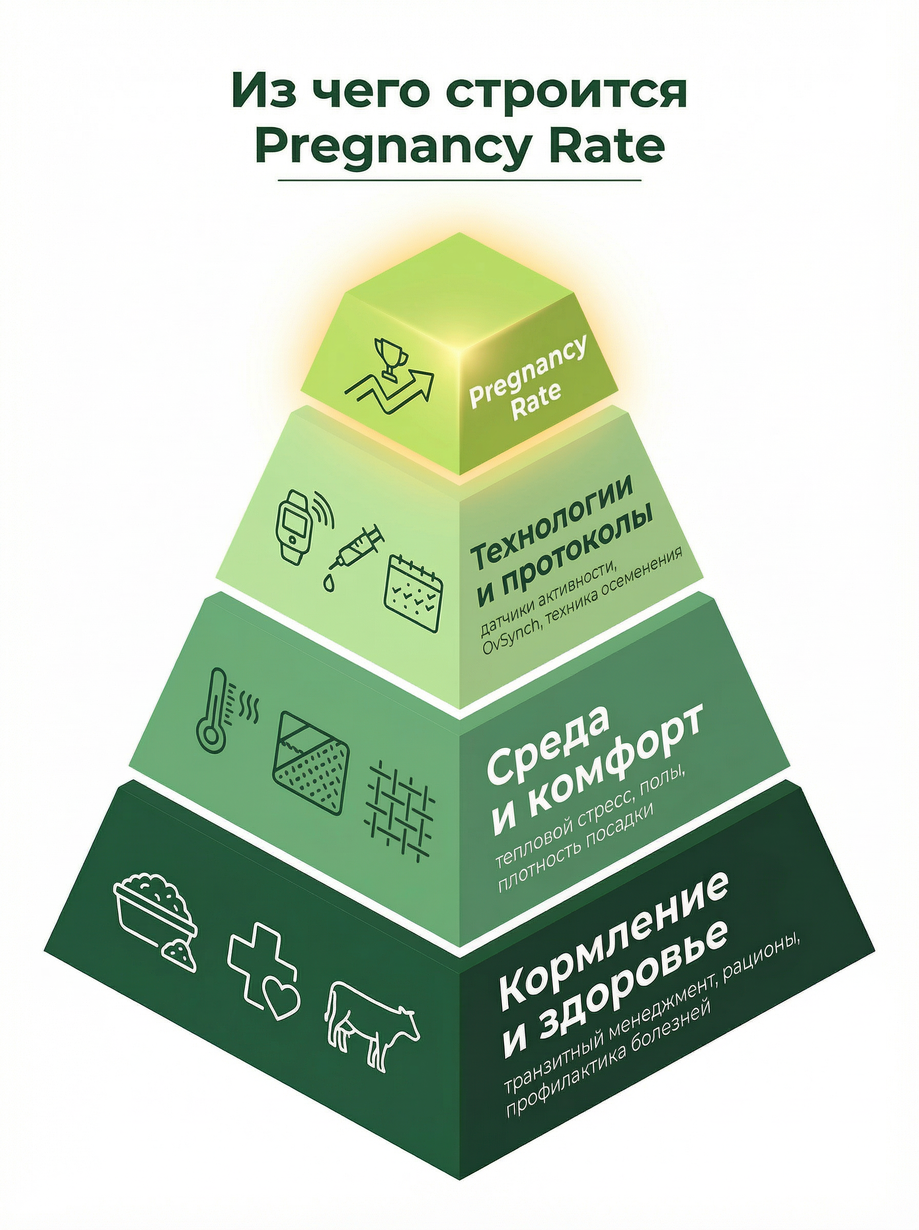Пирамида факторов Pregnancy Rate: основание — кормление и здоровье, второй уровень — среда и комфорт, третий — технологии и протоколы, вершина — Pregnancy Rate